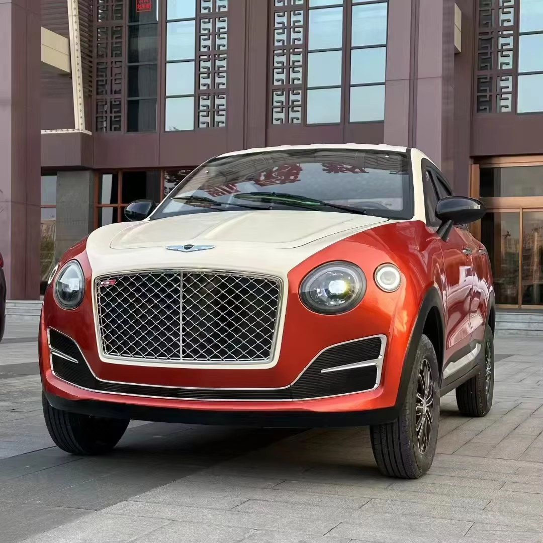 Fully Enclosed Electric Mini Car – 3500W Motor, 4 Doors, Intelligent Driving